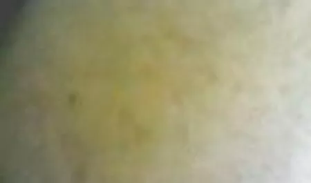 عوضی عکسهای سکسی شهوانی جدید نردبان لطفا یک شخص فریب دهنده